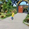 dwikurnia41