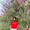 sharik.035