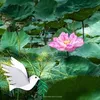 jundatnguyen