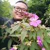 thanh81anh