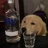kevinmyu0