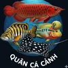 Quân Cá Cảnh