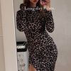 lionne_tte