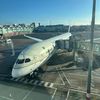 the_travel_addict29