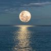 lunalight99_