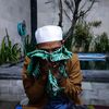Samulja Halis