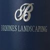 brionelandscaping1