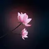 bacnongdan12345