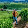 faya_taro25