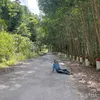 duythanh200513