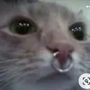 _.3va._._
