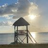 hawaiiansurfer7