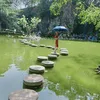 thaingocly1