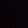 royhidayat_