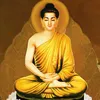 jerry86888
