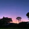 yukinohana.ms