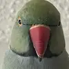 loveringneck