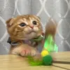 茶トラの秋くん。
