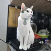 trandungng