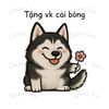 bongtoivaem00