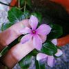 daniyamirza0987