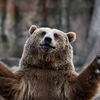 thee_bear1