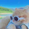 embesuzie