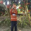 baohuanbaohuan2