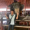 hang_vu232