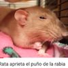jo.ano12
