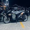 nopallll26_
