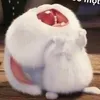cogaitinhte