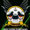 carissabirdfarm21
