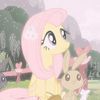 starvfeeds