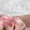itsshy0014