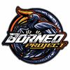 sanggar_borneo_project