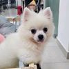 binhduong_88