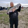 fishman2553