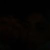 nick__704