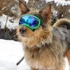 max.aussiemix