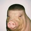 rsnnmln