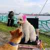 mo_2_6_2024_