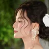 phuonglee_pmu
