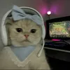 rio_oz