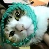 nik.oori