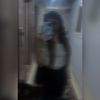 habibaahmed20011