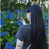 _m.anh.255