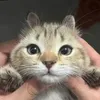 hiyen_.uwu