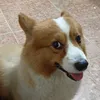 muaxanhau_9.4.25