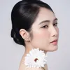 Lee Huongg